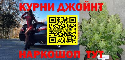 ПСИЛОЦИБИНОВЫЕ ГРИБЫ Донской