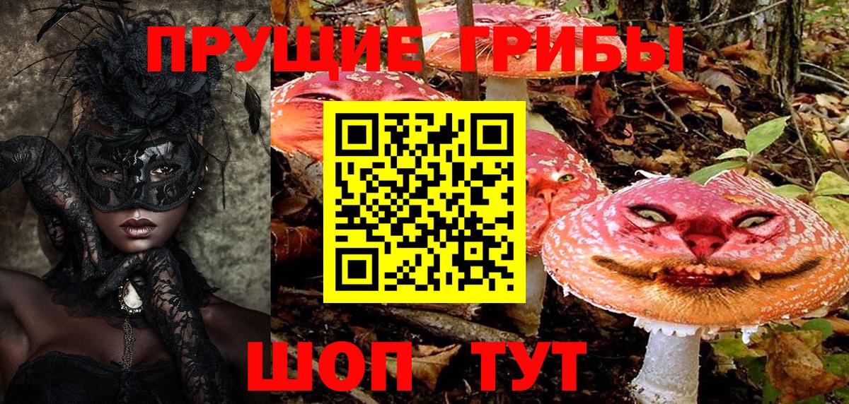 Псилоцибиновые грибы ЛСД Сарапул