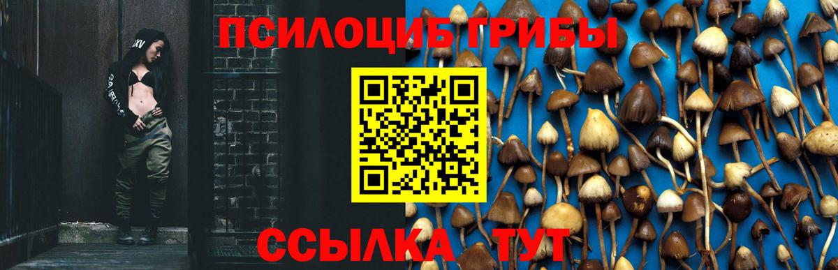 Сарапул  закладки  Галлюциногенные грибы прущие грибы  Вход с VPN  Псилоцибиновые грибы Cubensis 